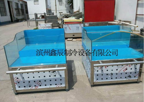 山東鑫辰海鮮貝類臺(tái)、爬行類貝類池及水產(chǎn)品展示臺(tái) 專業(yè)生產(chǎn)廠家、價(jià)格解析與家用電器融合應(yīng)用